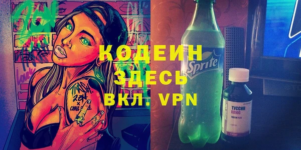 индика Новый Уренгой