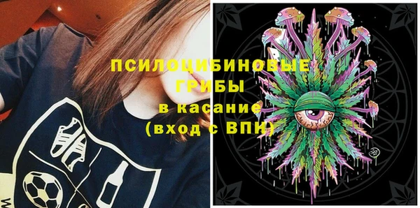 гашик Горняк
