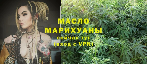 стаф Дмитровск